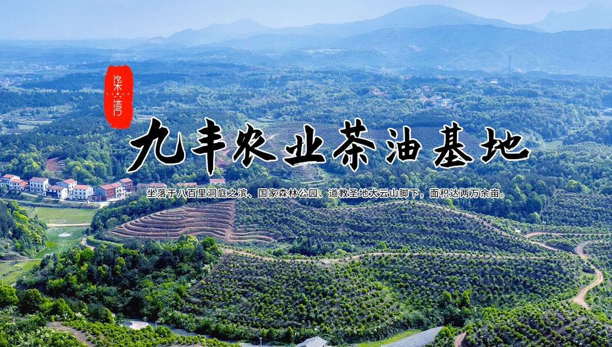 半岛官网登录入口