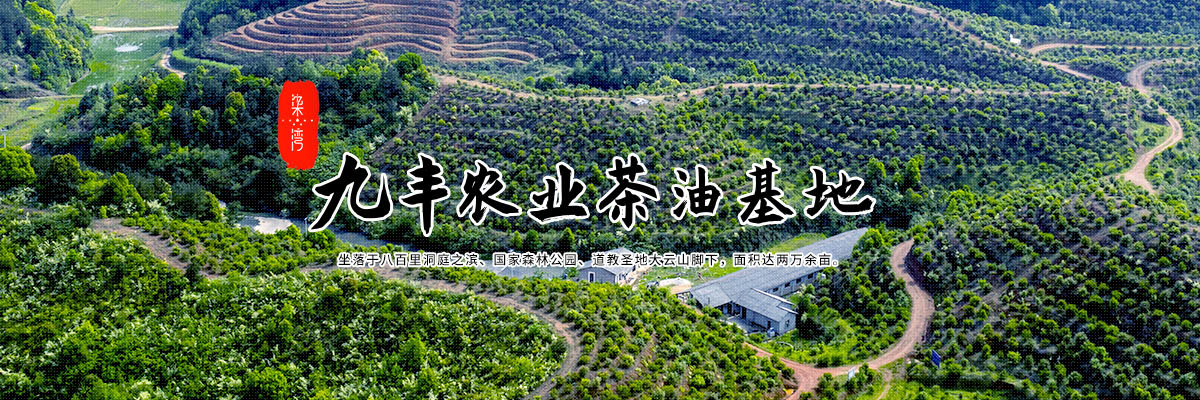 半岛官网登录入口