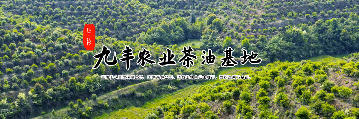 半岛下载入口网站
