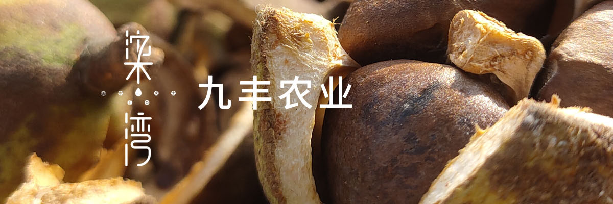 半岛官网链接
